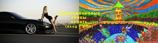 эйфоретик Верея