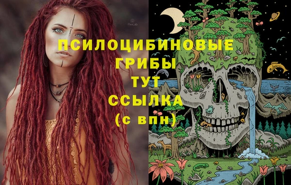 эйфоретик Верея