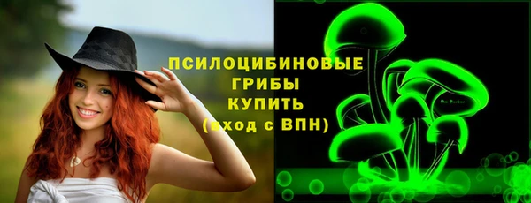 эйфоретик Верея