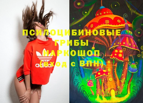 эйфоретик Верея