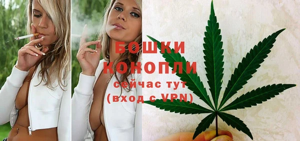 дурь Верхний Тагил