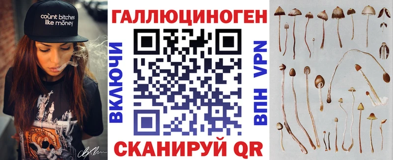 Псилоцибиновые грибы Magic Shrooms  Купить где  Михайловка 